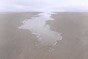 schiermonnikoog 5-2019 8697